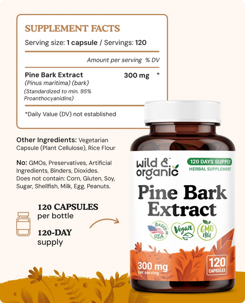 Pine Bark Extract Capsules - 120 Count