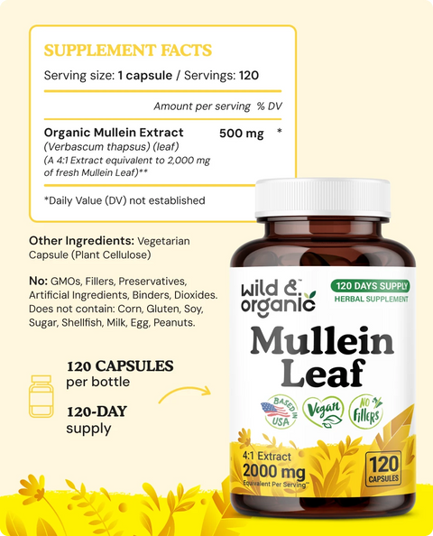 Mullein Leaf Capsules - 120 Count