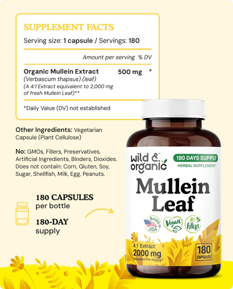 Mullein Leaf Capsules - 180 Count