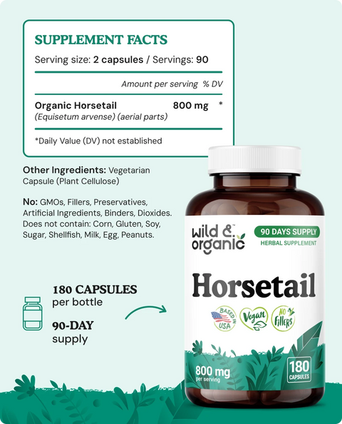 Horsetail Capsules - 180 Count