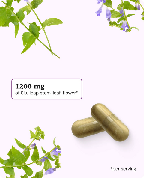 Skullcap Herb Capsules - 60 Count