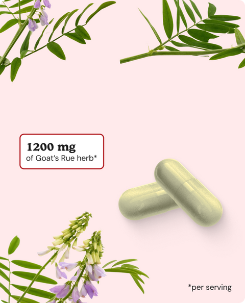 Goat’s Rue Capsules - 60 Count