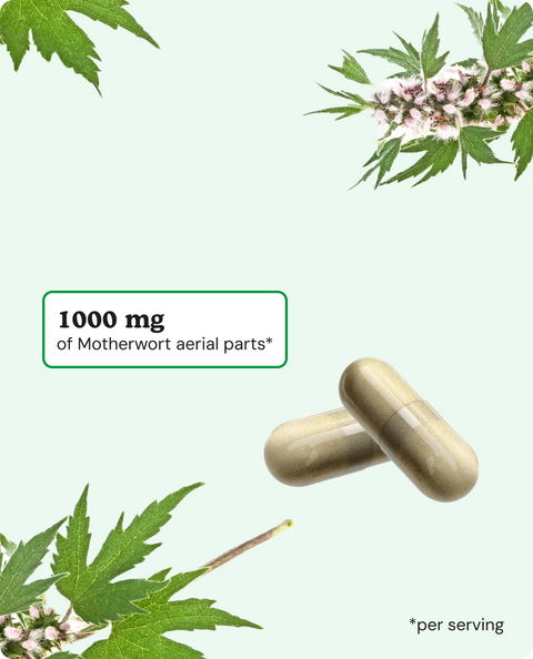 Motherwort Capsules - 180 Count
