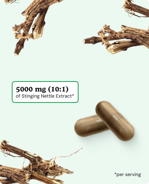 Stinging Nettle Root Capsules - 120 Count
