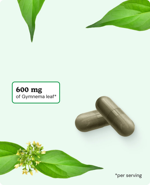 Gymnema Sylvestre Capsules - 180 Count