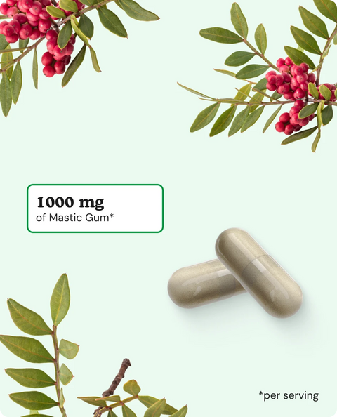 Mastic Gum Capsules - 60 Count