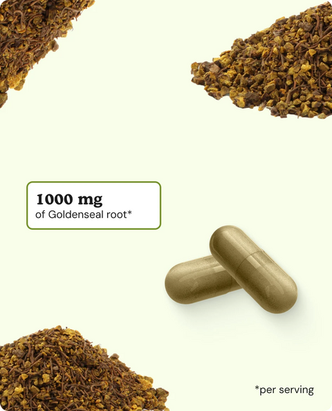 Goldenseal Root Capsules - 90 Count