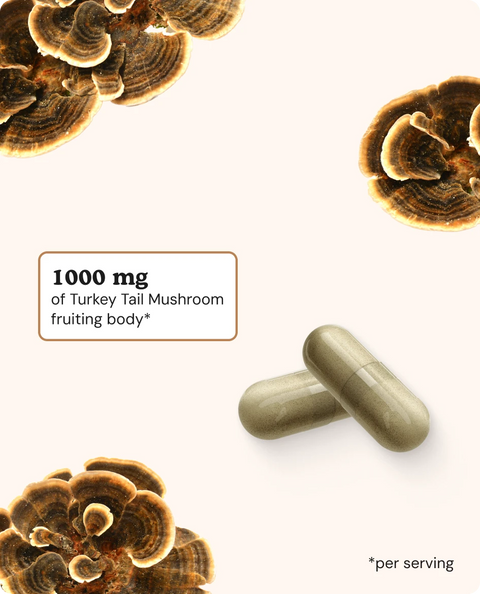 Turkey Tail Mushroom Capsules - 60 Count