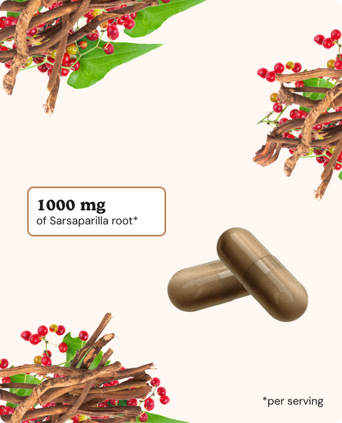 Sarsaparilla Root Capsules - 60 Count