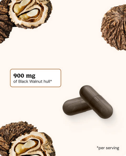 Black Walnut Capsules - 120 Count