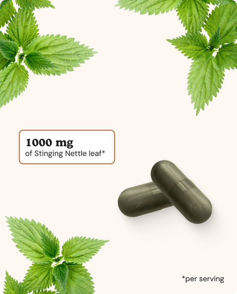 Stinging Nettle Leaf Capsules - 120 Count