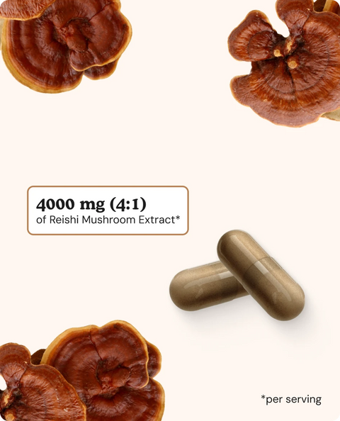 Reishi Mushroom Capsules - 60 Count