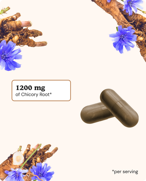 Chicory Root Capsules - 60 Count