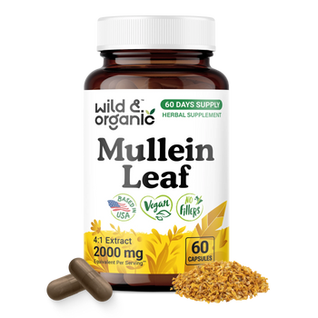 Mullein Leaf Capsules - 60 Count