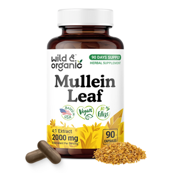 Mullein Leaf Capsules - 90 Count