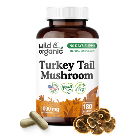 Turkey Tail Mushroom Capsules - 180 Count