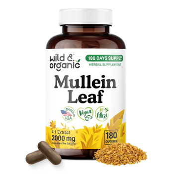 Mullein Leaf Capsules - 180 Count