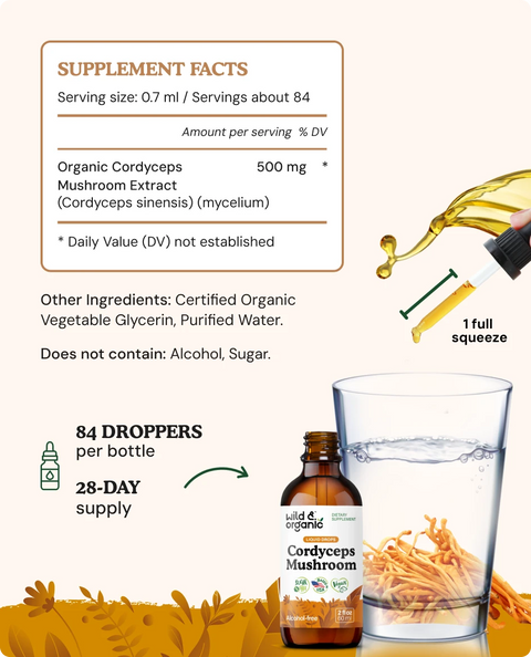 Cordyceps Extract supplement facts