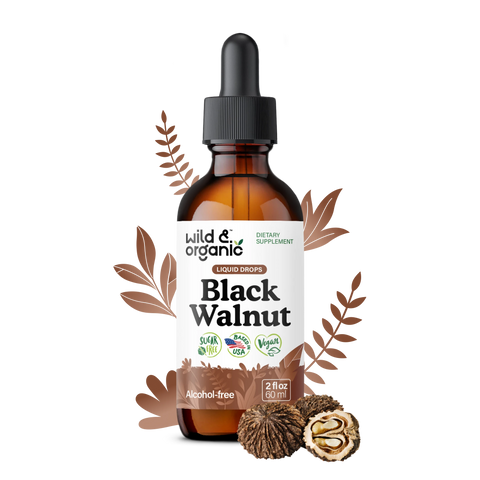 Black Walnut Extract