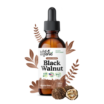 Black Walnut Extract