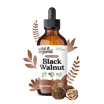 Black Walnut Extract