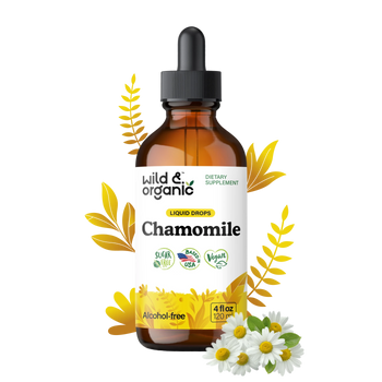 Chamomile Extract