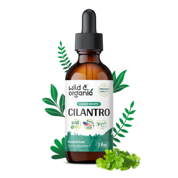 Cilantro Extract