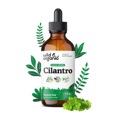 Cilantro Extract