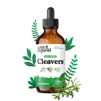 Cleavers Tincture