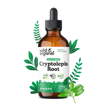 Cryptolepis Tincture