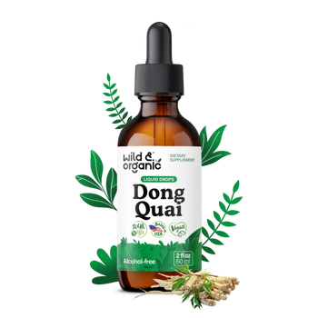 Angelica Root Extract