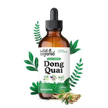Angelica Root Extract