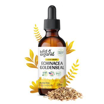 Echinacea Goldenseal Drops