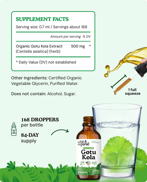 Bacopa & Gotu Kola Bundle