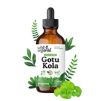 Gotu Kola Extract