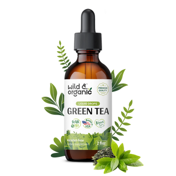 Green Tea Extract