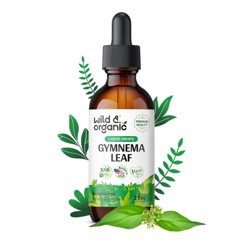 Gymnema Sylvestre Extract