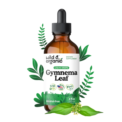 Gymnema Sylvestre Extract