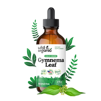 Gymnema Sylvestre Extract