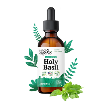 Holy Basil Extract