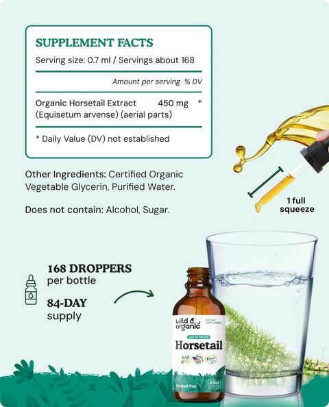 Horsetail Extract supplement facts