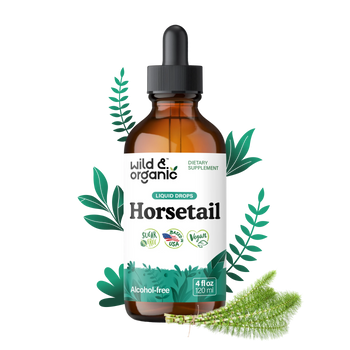 Horsetail Extract