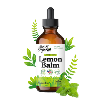 Lemon Balm Extract