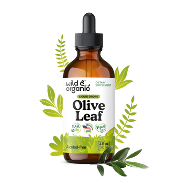 Olive Leaf Extract