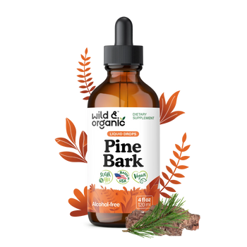 Pine Bark Extract