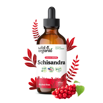 Schisandra Extract