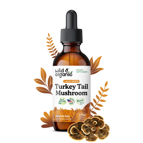 Turkey Tail Tincture
