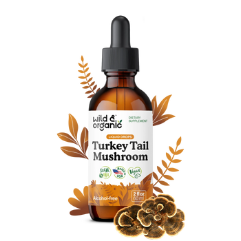 Turkey Tail Tincture