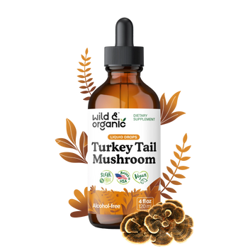 Turkey Tail Tincture