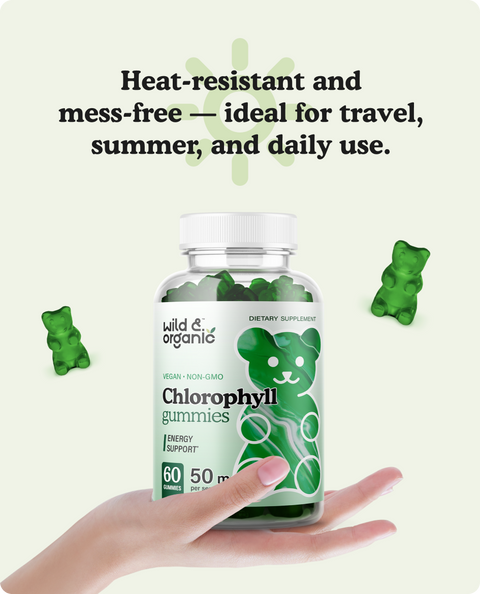 Mullein & Chlorophyll Bundle